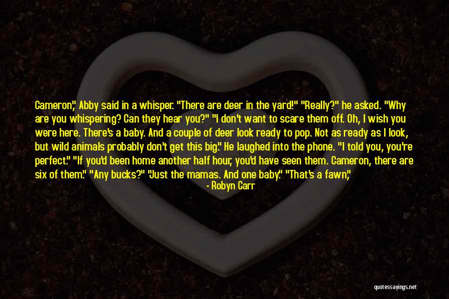 If You Are Not Perfect Quotes By Robyn Carr If You Are Not Perfect Quotes By Robyn Carr