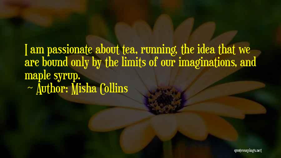 If You Are Passionate About Something Quotes By Misha Collins