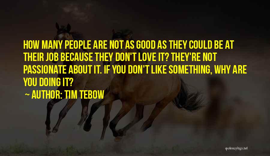 If You Are Passionate About Something Quotes By Tim Tebow