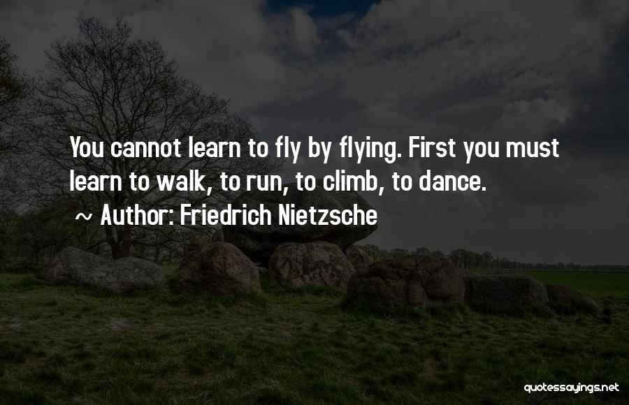 If You Can Fly Run Quotes By Friedrich Nietzsche