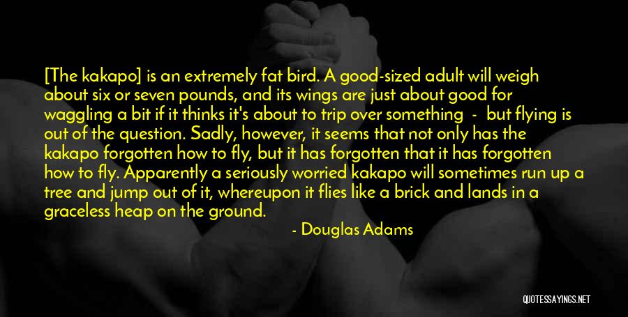 If You Cant Fly Then Run Quotes By Douglas Adams If You Cant Fly Then Run Quotes By Douglas Adams