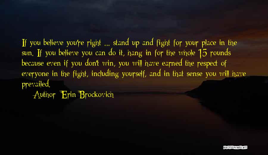 If You Can't Hang Quotes By Erin Brockovich