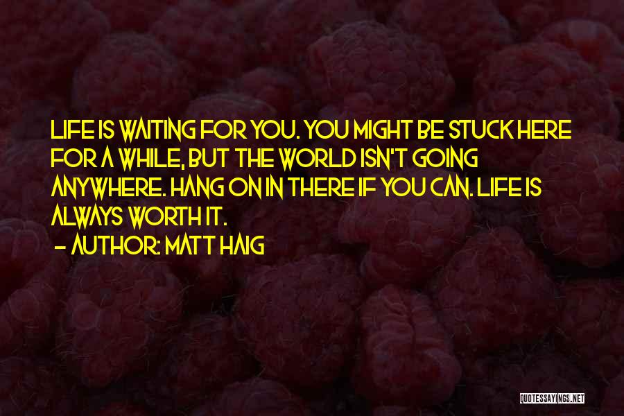 If You Can't Hang Quotes By Matt Haig