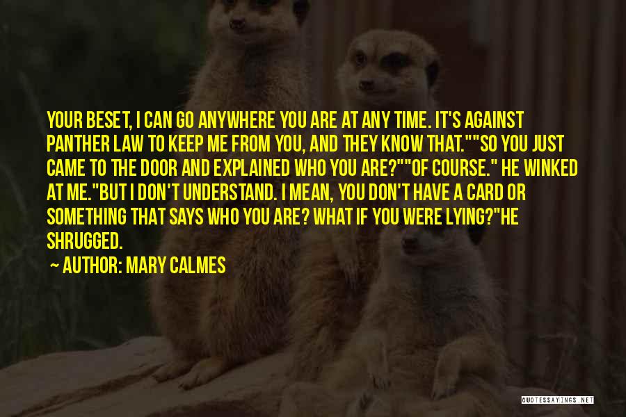 If You Can't Understand Quotes By Mary Calmes