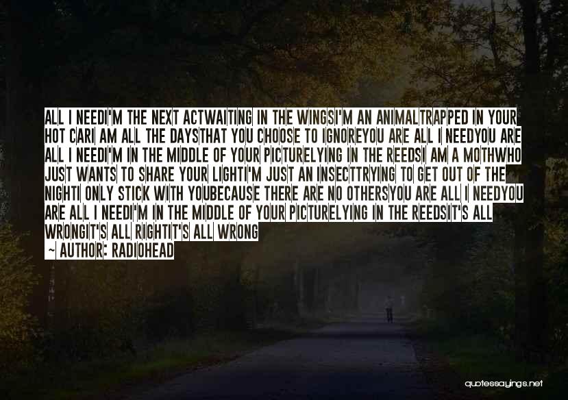 If You Choose To Ignore Me Quotes By Radiohead