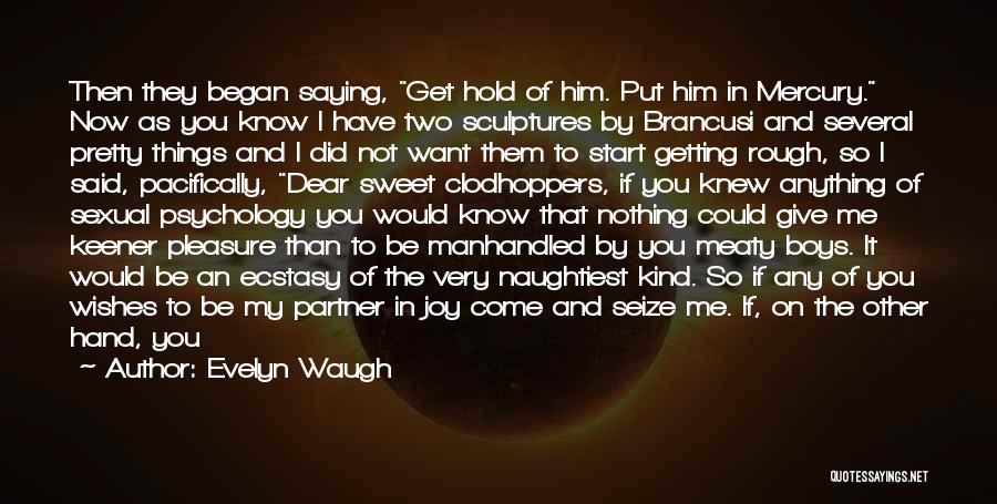 If You Could See Me Now Quotes By Evelyn Waugh