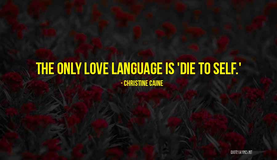 If You Didnt Hear It With Your Own Ears Quotes By Christine Caine