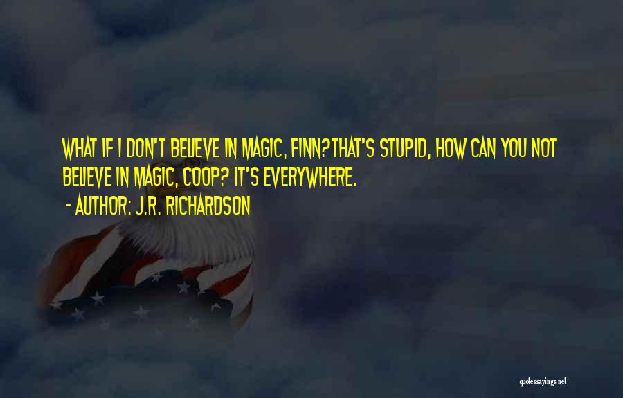 If You Don't Believe In Magic Quotes By J.R. Richardson