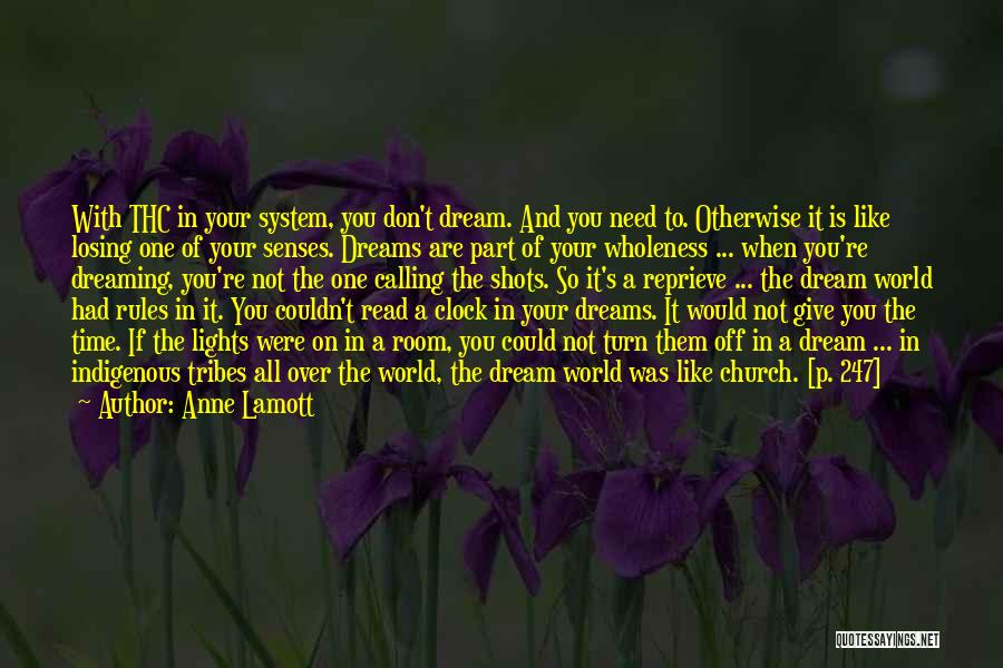 If You Don't Dream Quotes By Anne Lamott