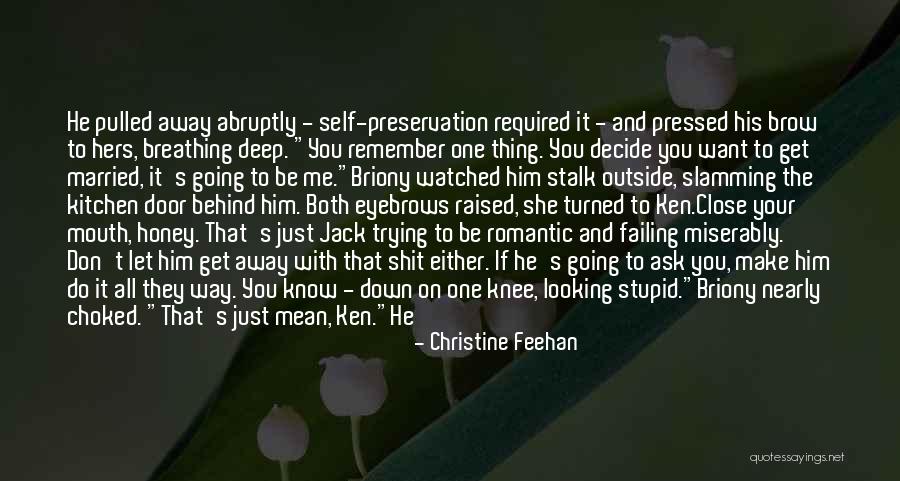 If You Don't Get Me Quotes By Christine Feehan If You Don't Get Me Quotes By Christine Feehan