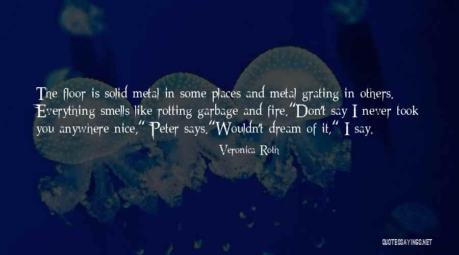 If You Don't Have Nothing Nice To Say Quotes By Veronica Roth