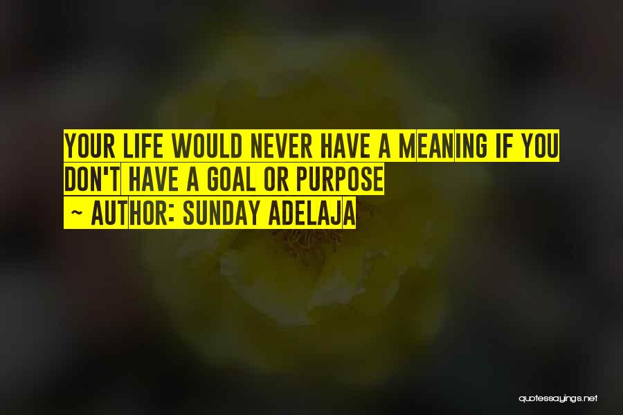 If You Don't Have Time Quotes By Sunday Adelaja