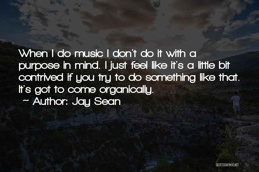 If You Don't Like Music Quotes By Jay Sean