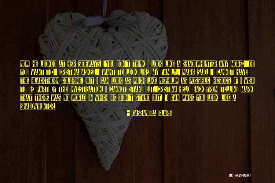 If You Don't Like My Family Quotes By Cassandra Clare If You Don't Like My Family Quotes By Cassandra Clare