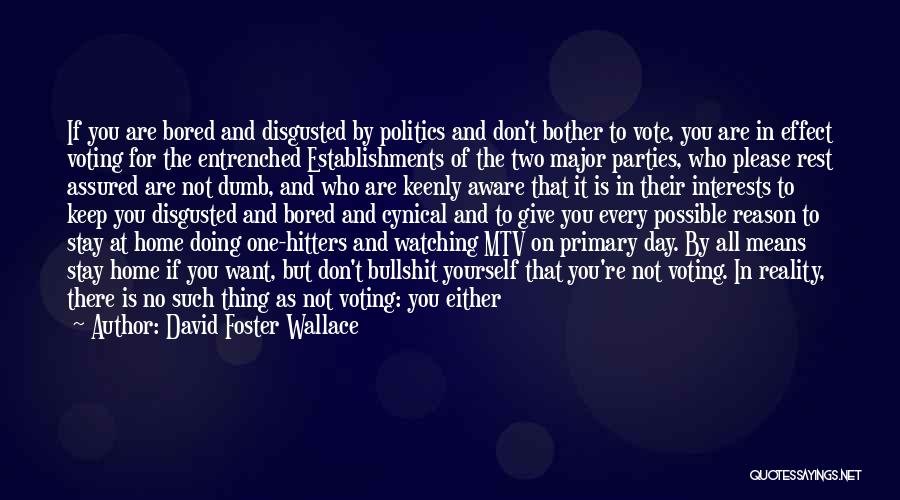 If You Don't Vote Quotes By David Foster Wallace