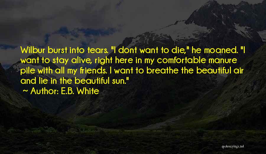 If You Dont Want To Stay Quotes By E.B. White