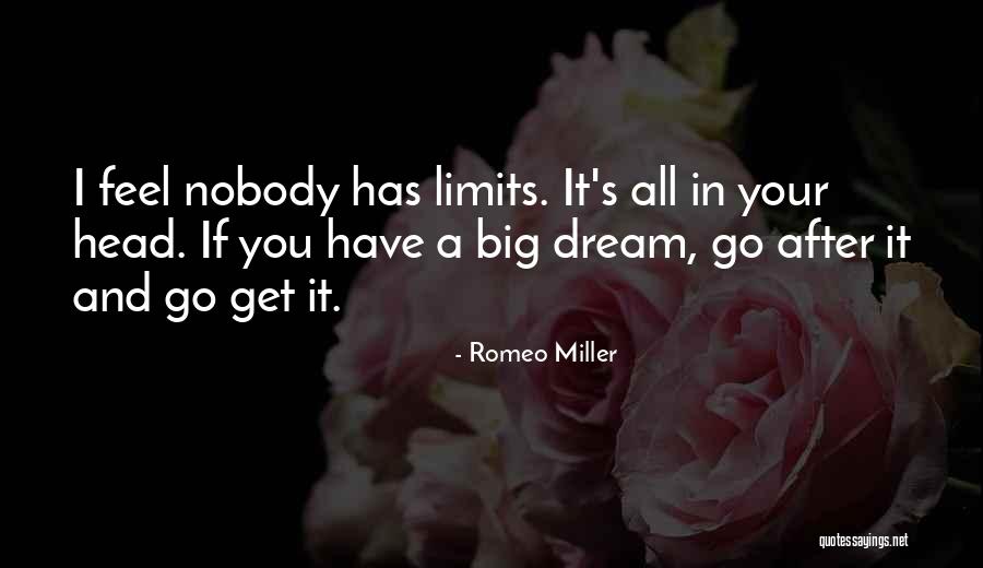 If You Dream Quotes By Romeo Miller