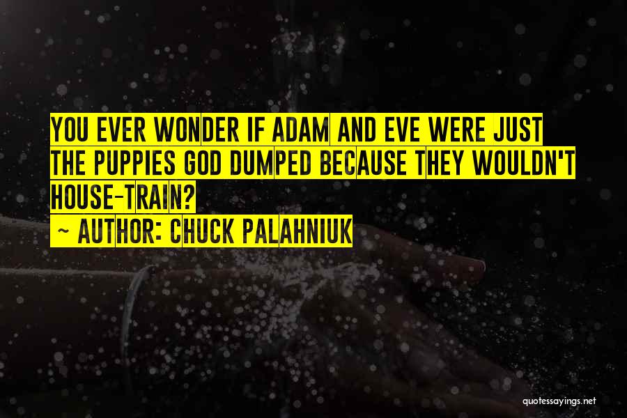 If You Ever Wonder Quotes By Chuck Palahniuk