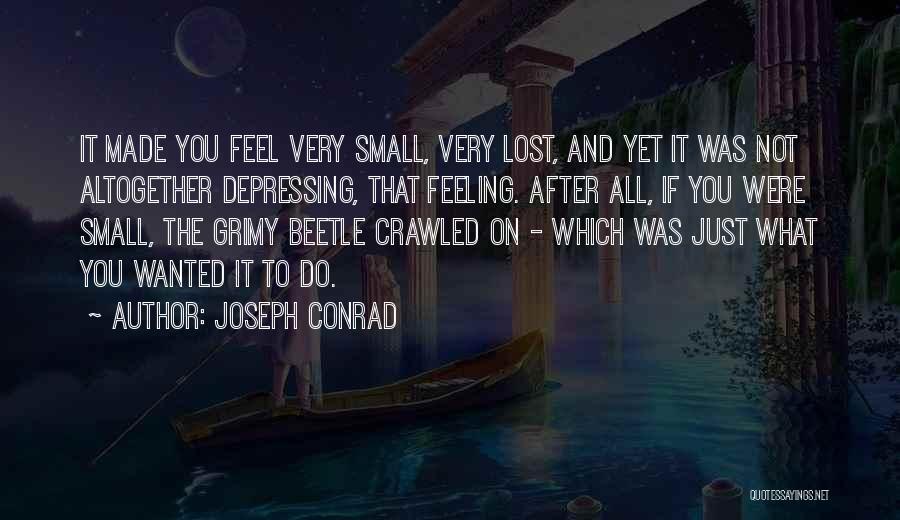 If You Feel Lost Quotes By Joseph Conrad