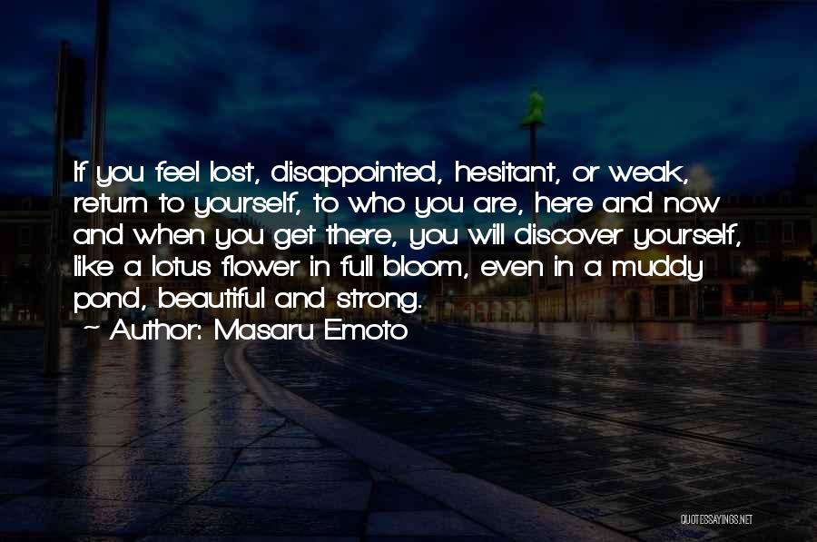 If You Feel Lost Quotes By Masaru Emoto
