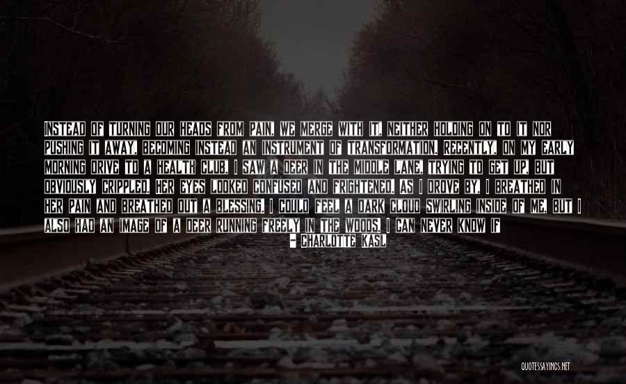 If You Feel Sad Quotes By Charlotte Kasl If You Feel Sad Quotes By Charlotte Kasl