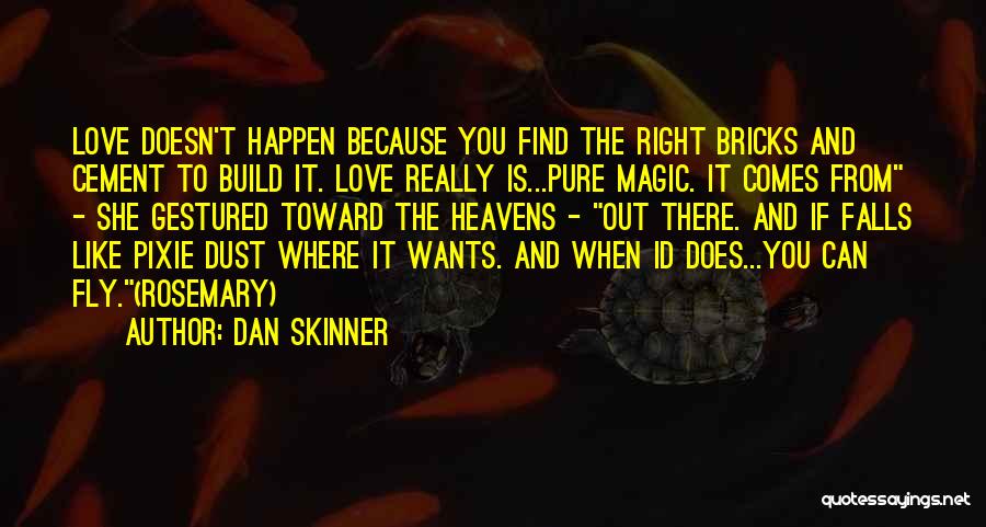 If You Find Love Quotes By Dan Skinner