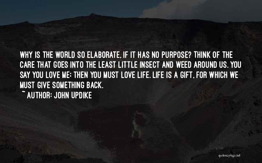 If You Give A Little Love Quotes By John Updike