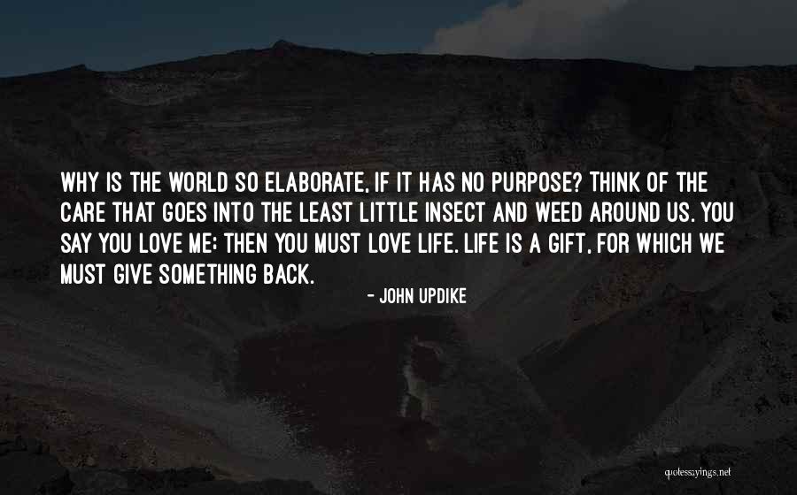 If You Give A Little Love Quotes By John Updike