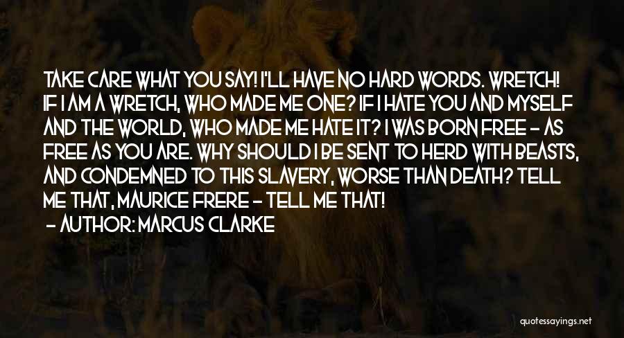 If You Hate Someone You Still Care Quotes By Marcus Clarke