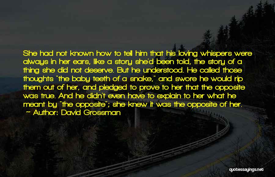 If You Knew My Story Quotes By David Grossman