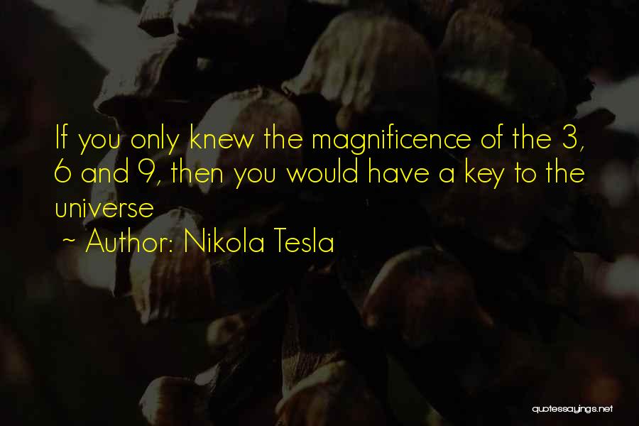 If You Knew Quotes By Nikola Tesla