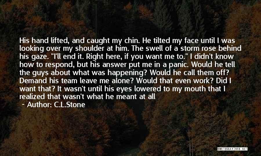 If You Leave Me Alone Quotes By C.L.Stone