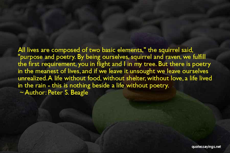 If You Leave My Life Quotes By Peter S. Beagle