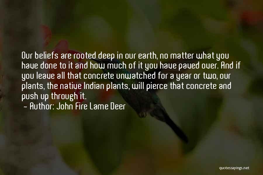 If You Leave Quotes By John Fire Lame Deer