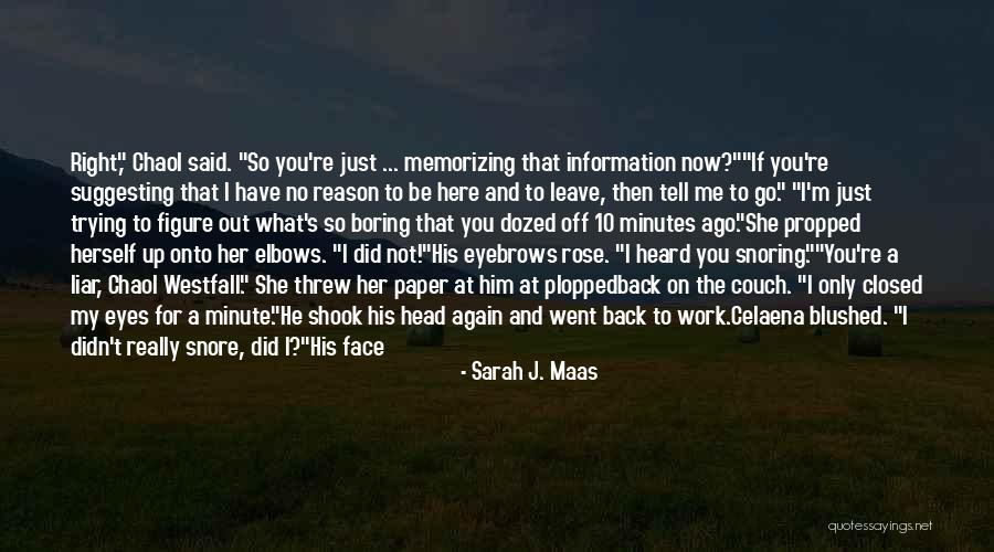 If You Like Her Tell Her Quotes By Sarah J. Maas