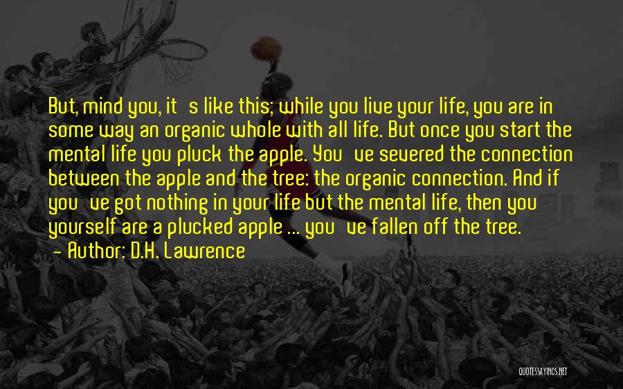 If You Live Once Quotes By D.H. Lawrence