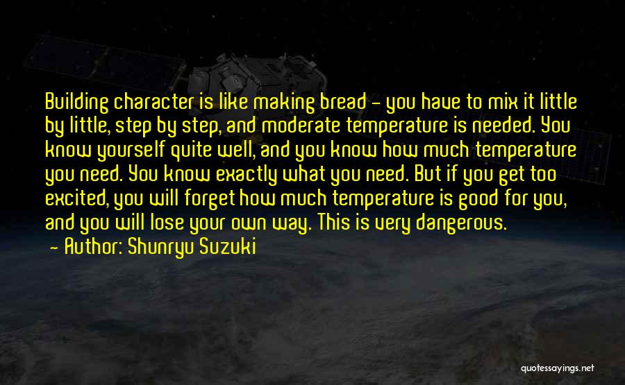 If You Lose Your Way Quotes By Shunryu Suzuki