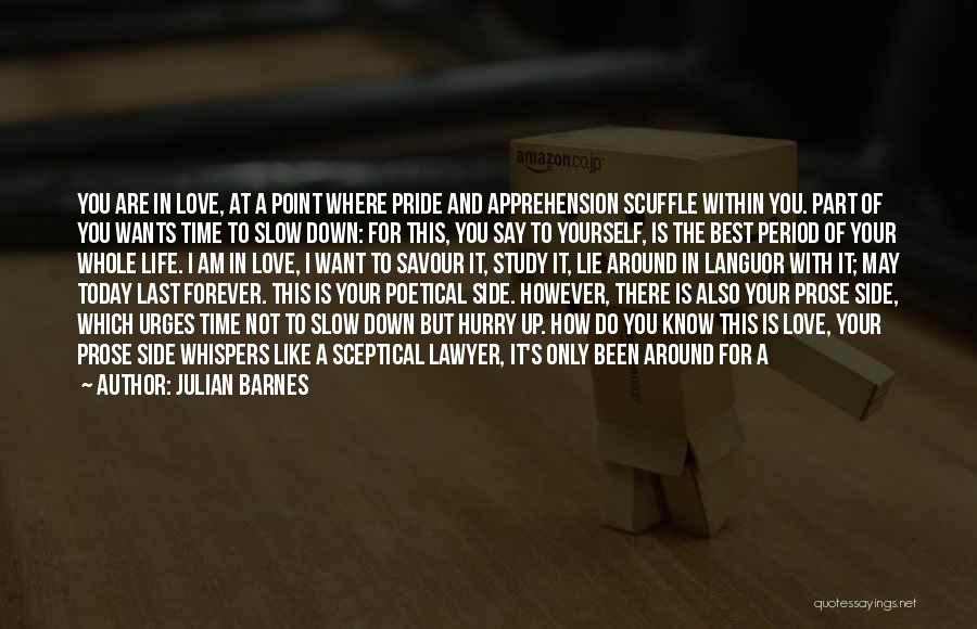 If You Love Her Prove It Quotes By Julian Barnes