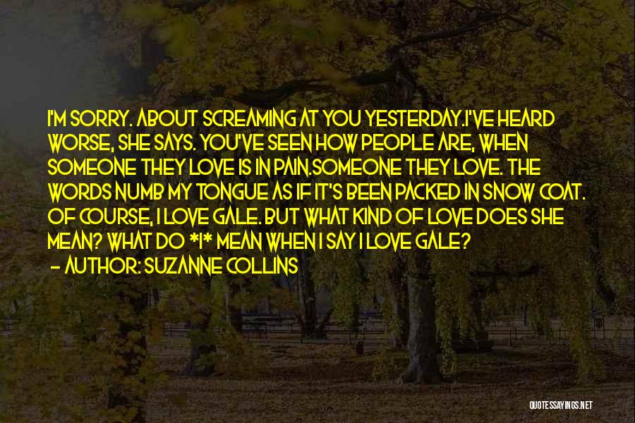 If You Love Someone Say It Quotes By Suzanne Collins