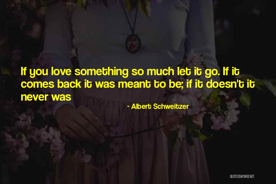 If You Love Something Let Go Quotes By Albert Schweitzer If You Love Something Let Go Quotes By Albert Schweitzer