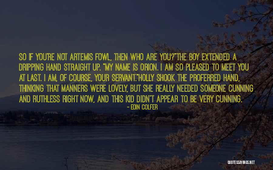 If You Meet That Someone Quotes By Eoin Colfer If You Meet That Someone Quotes By Eoin Colfer