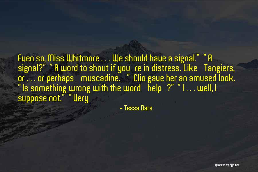 If You Miss Something Quotes By Tessa Dare