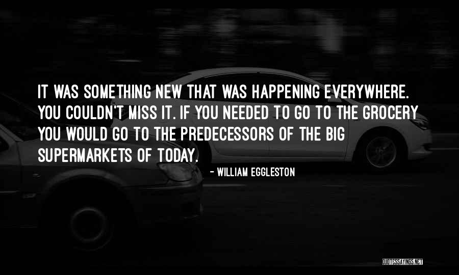 If You Miss Something Quotes By William Eggleston