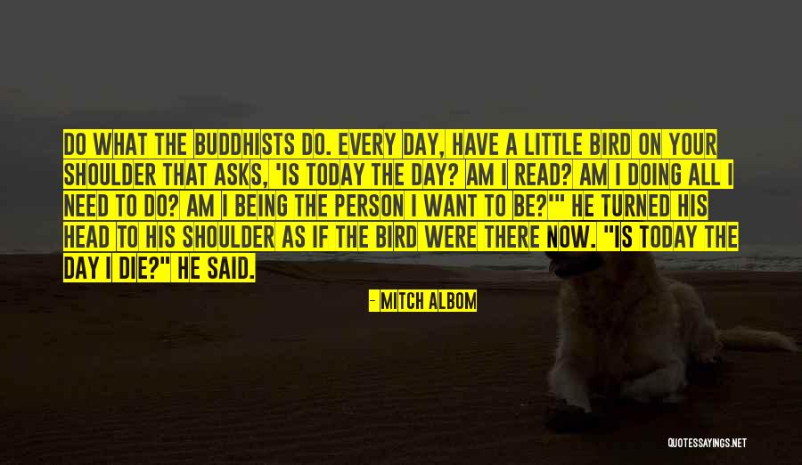 If You Need A Shoulder Quotes By Mitch Albom If You Need A Shoulder Quotes By Mitch Albom