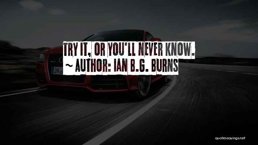 If You Never Try Then You'll Never Know Quotes By Ian B.G. Burns