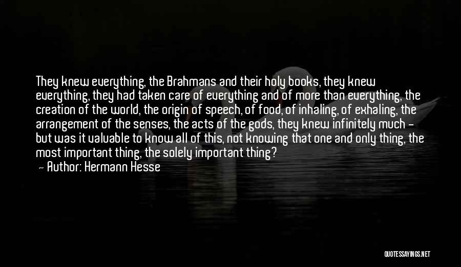 If You Only Knew How Much I Care Quotes By Hermann Hesse