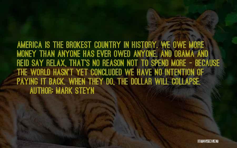 If You Owe Money Quotes By Mark Steyn