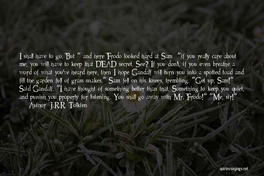 If You Really Care About Me Quotes By J.R.R. Tolkien