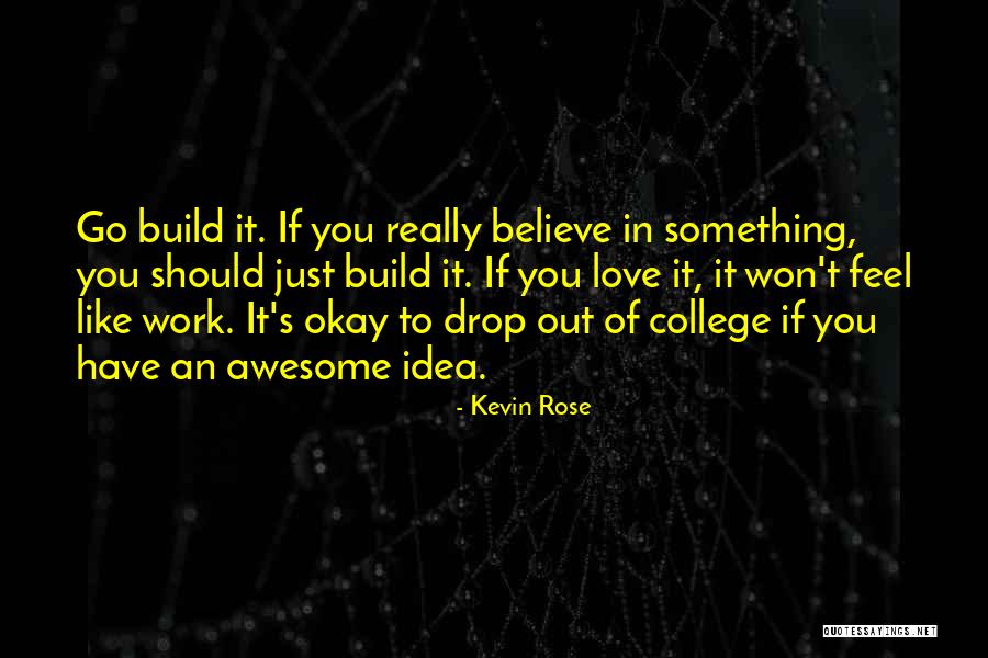 If You Really Love Something Quotes By Kevin Rose