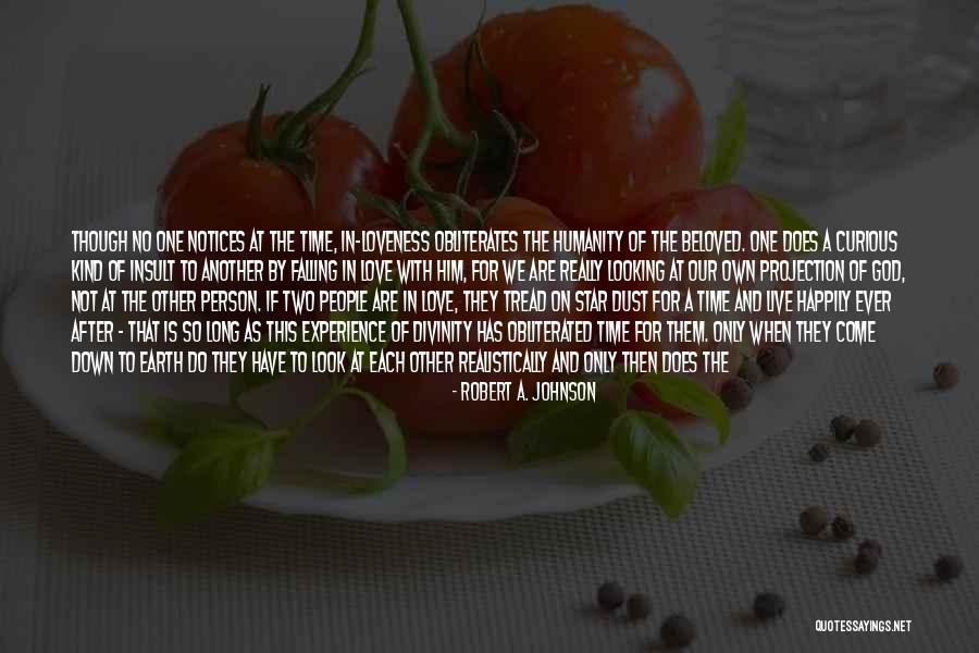 If You Really Love Something Quotes By Robert A. Johnson If You Really Love Something Quotes By Robert A. Johnson